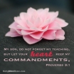 Proverbs 3:1 I DailyBibleMeme.com